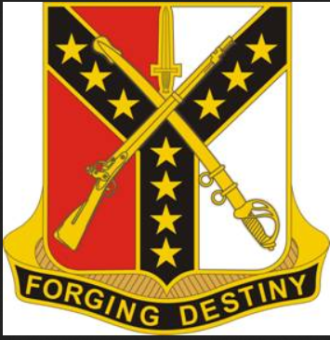 formation insignia