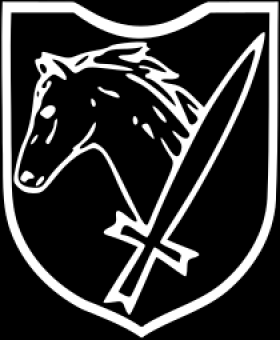 formation insignia