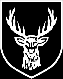 formation insignia