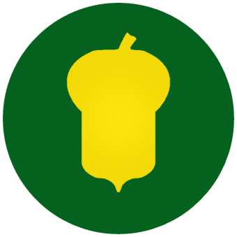 formation insignia