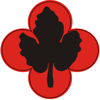formation insignia