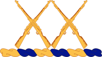 formation insignia